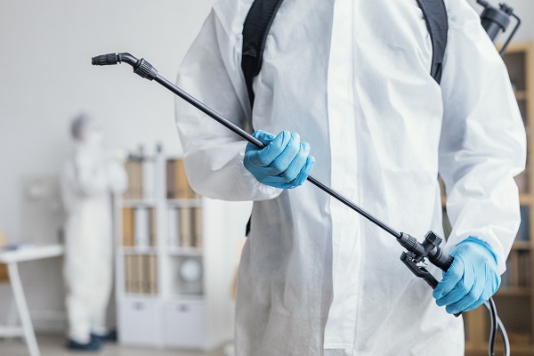 The Biggest Pest Problems Homeowners Face